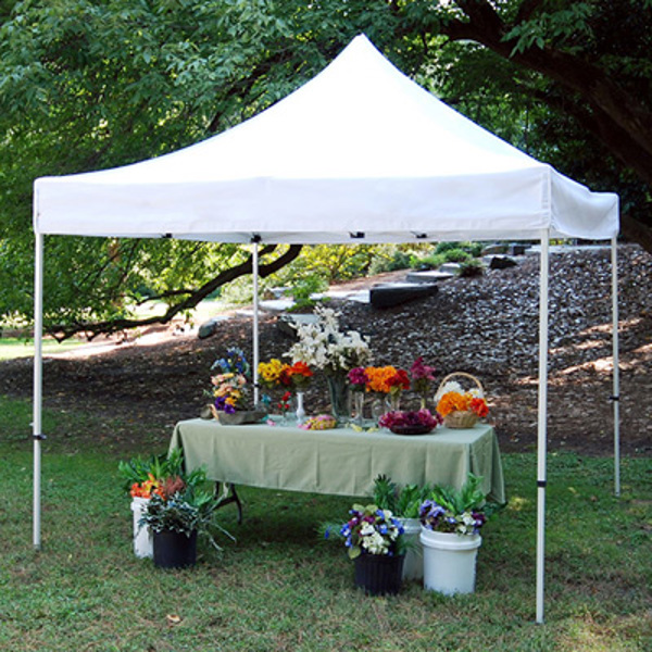 King Canopy FSSHST10WH Festival Instant Canopy 10X10 Heavy Duty Steel Frame 500D White