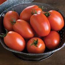 TOM02 Tomato (Plummy) Seed