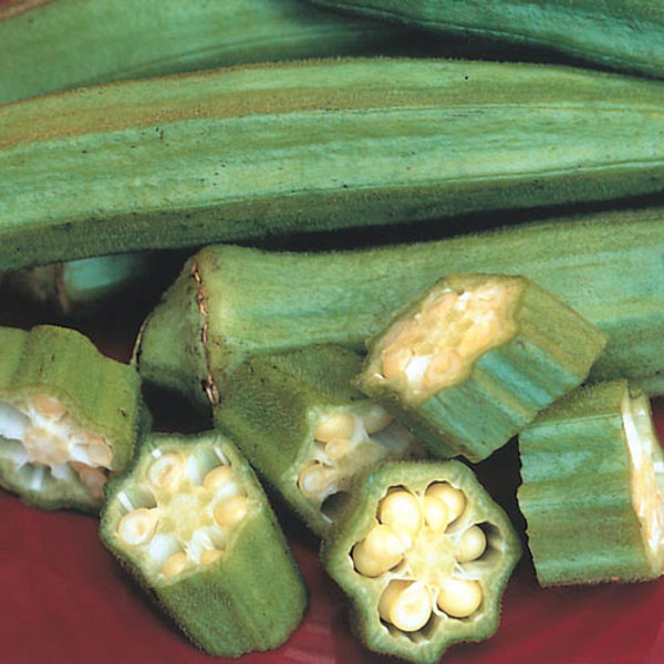 Lewiscotch Nursery & Seeds OKR03 Okra Seed