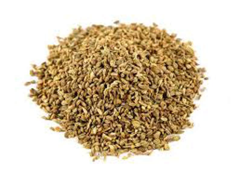 LEWISCOTCH NURSERY & SEEDS THYME01 Thyme Seeds