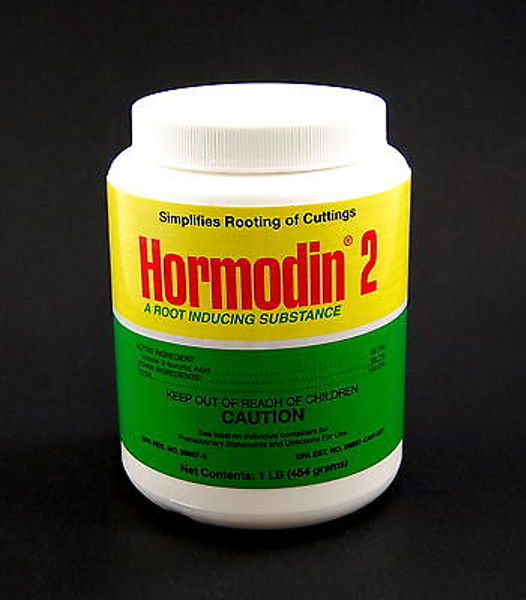 MTC 40121 Hormodin Powder #2 Rooting Hormone 1 Lb