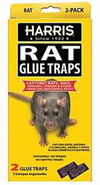 P.F. Harris Manufacturing HRG-2 Disposable Rat Glue Trap 2 Pack No Springs or Snapped Fingers