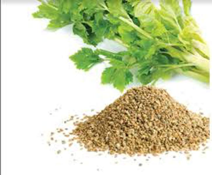 CEL10 Lewiscotch Nursery & Seeds CELRY01 Celery Seed
