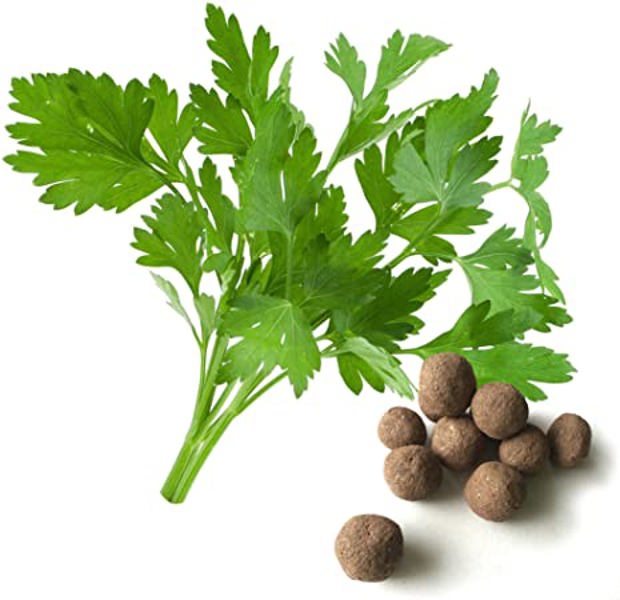 PAR10 LewisCotch Nursery & Seeds PARS01 Parsley Seed