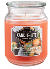 3297271 18 Oz Candle Jar