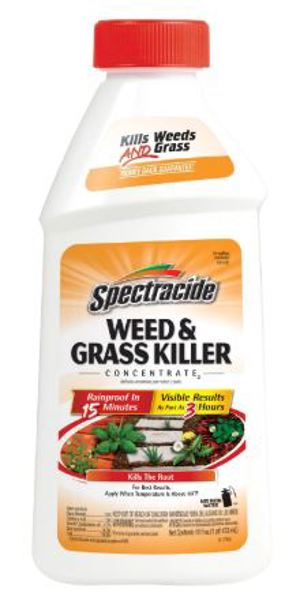 Bayer CropScience HG-66001 Weed and Grass Killer Concentrate 16 Oz