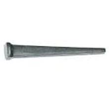 NAILS USCUT 12D-LB 50 Lb Masonry Nail