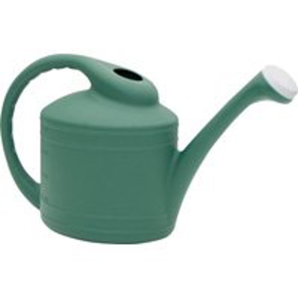 Southern Patio WC8108FE Garden Water Can 2 Gal Resin Fern