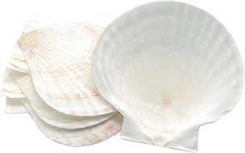 45678 Natural Baking Shells 4 Set
