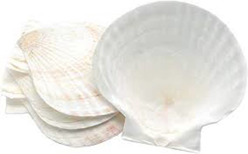Harold Import Co 45678 Baking Shells 4 Set Natural