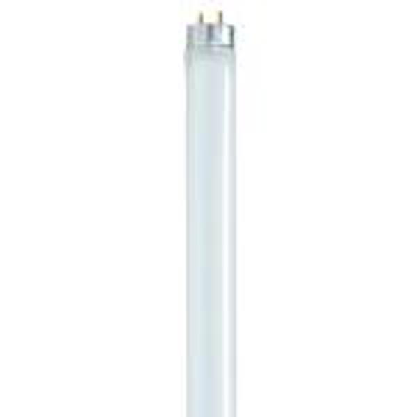 Satco S8412 F25T8/841/ENV Light Bulb