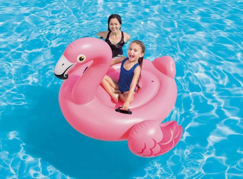 Intex Recreation Corp 57558EP Flamingo Ride On Swimming Pool Float Multi Age 3+ 56 In x 54 In x 38 In