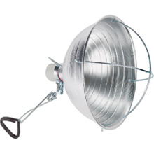 Brooder Light Clamp Incandescent Lamp