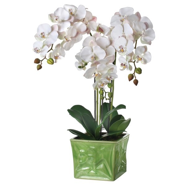 Regency International MTF21571 26 In Orchid Green White Flower