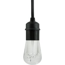 37790 Black Café Lights 48 In