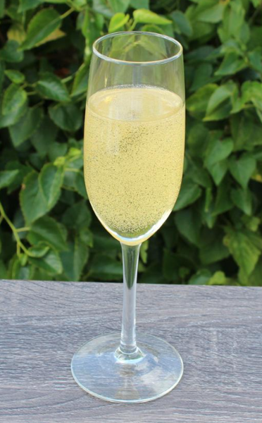 JUST DOUGH IT JDI W513 Champagne Glass Champagne Color