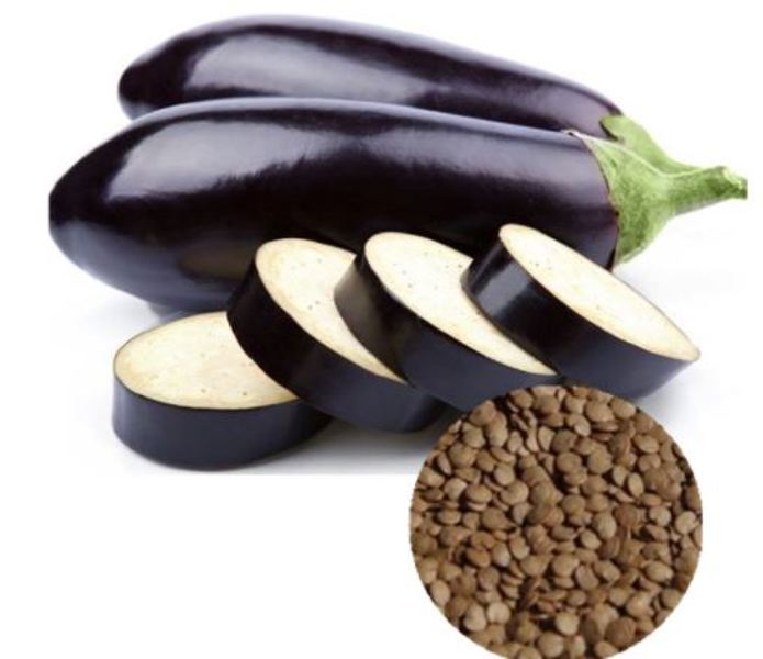 Lewiscotch Nursery & Seeds EP06 Egg Plant Seed Pack