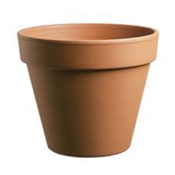 Atlantic Pottery 02150 Azalea Pot 6 In Terracotta