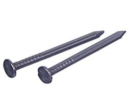 461353 1 Lb Stainless Steel Nail