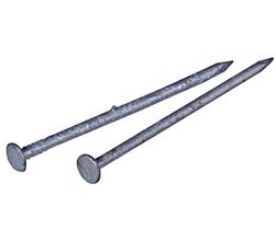 461473 1 Lb Common Galvanized Nail