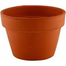 02310 12 In Terra Cotta Azalea Pot