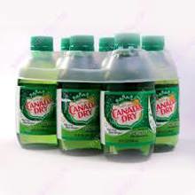 S100 10 Oz Ginger Ale