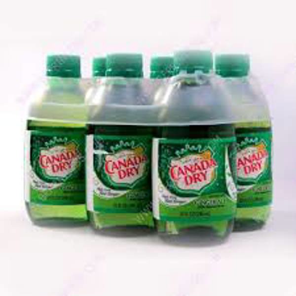 Dr. Pepper Snapple Group S100 Ginger Ale 10 Oz Bottle