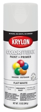K05548007 12 Oz Paint Spray