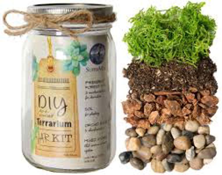 Natural Pack 90411 Terrarium Jar Kit 32 Oz