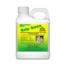 06403 1 Qt Organic Plant Food