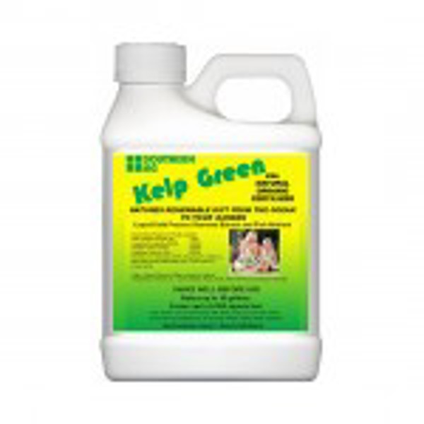 Southern Ag 06403 Organic Plant Food 1 Qt Organic