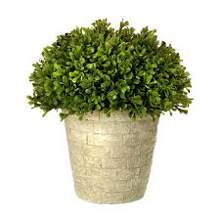 MTF22027 Artificial Green Spring Boxwood Dome Topiary