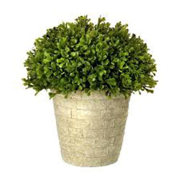 Regency International MTF22027 Artificial Green Spring Boxwood Dome Topiary Green