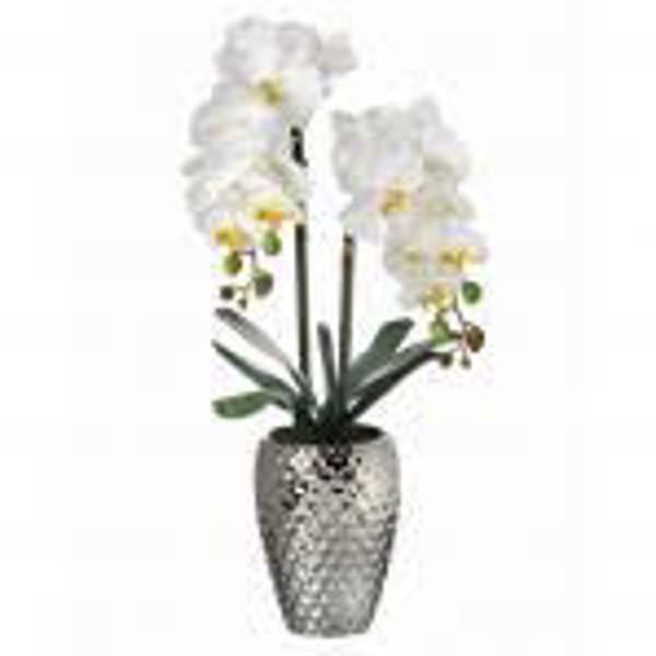 Regency International MTF21569 Artificial Flowers 24 In White Orchid in Hammered Silver Pot