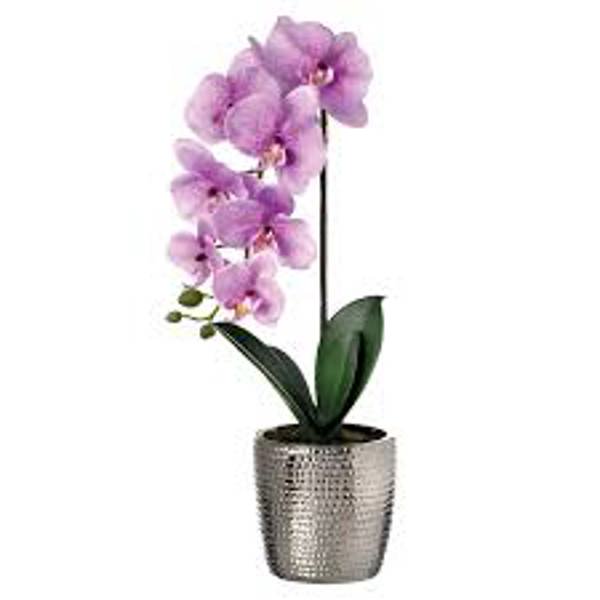 Regency International MTF21568 Artificial White Orchid 21 In Hammered Silver Pot Silver