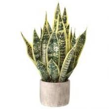 MTF22902 Artificial Flowers in Cement Pot
