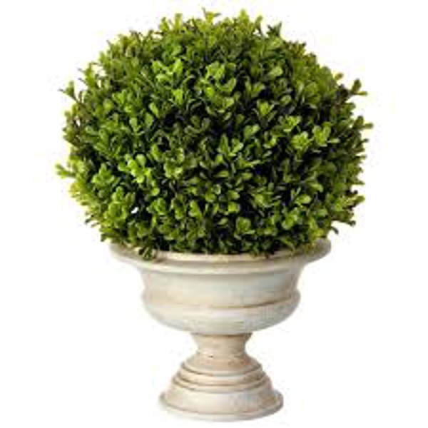 Regency International MTF22029 Flowers Ball Urn 16 In Green Spring Boxwood Ball Green