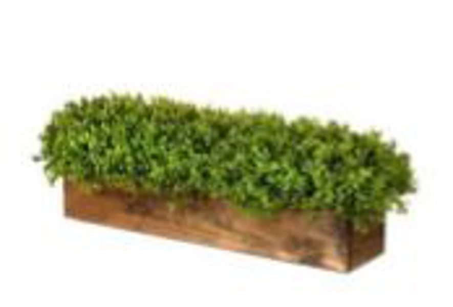 Regency International MTF22037 Rectangular Planter Artificial Green Boxwood 26 In Green