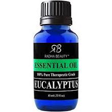 30009 10 Ml Eucalyptus Essential Oil