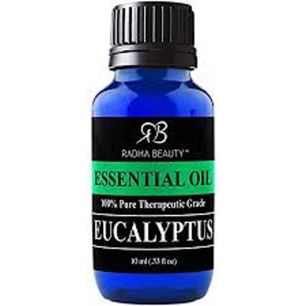 Radha Beauty 30009 Eucalyptus Essential Oil 10 Ml