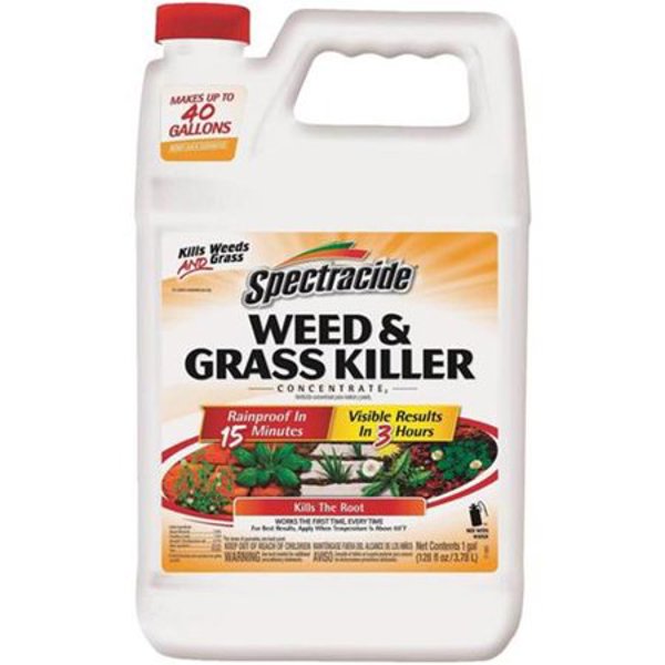 SPECTRACIDE HG-96620 Weed and Grass Killer 1 Gal