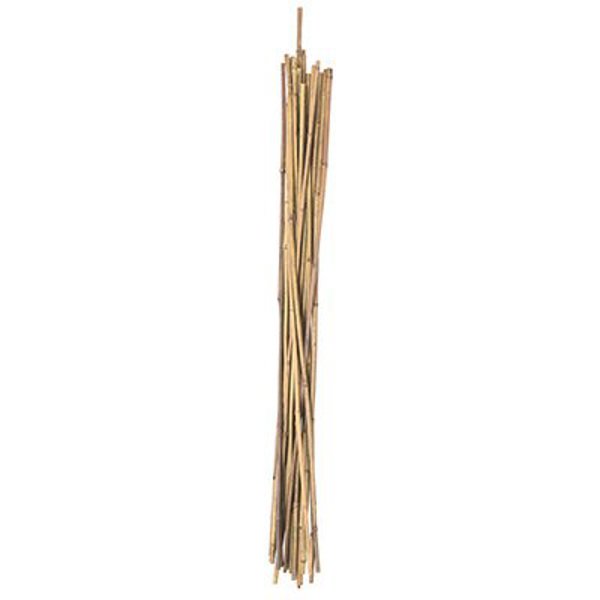 MAT-MIDWEST AIR BB3N Bamboo Plant Stake 3 Ft Natural Weather Resistant