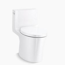 1381-0 One Piece Elongated Toilet