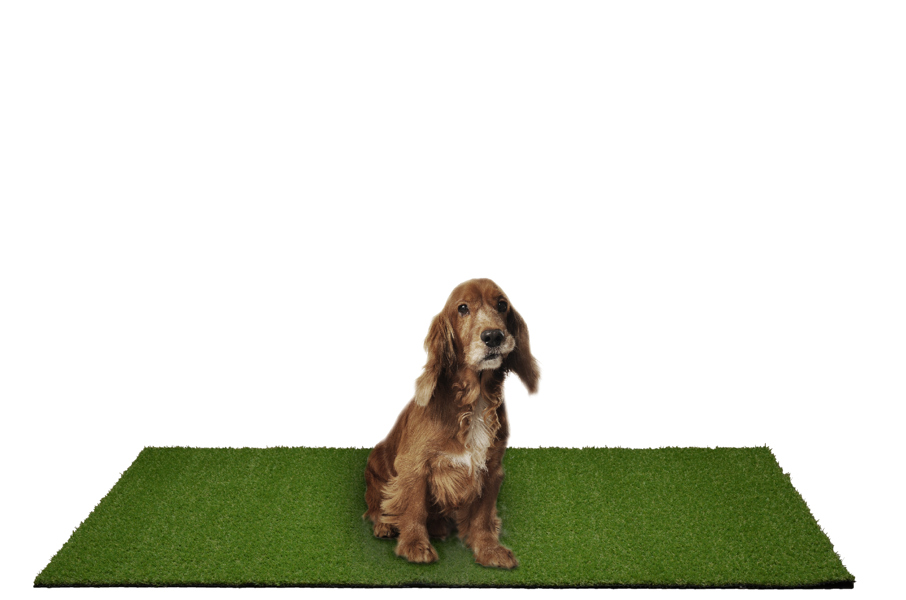 PM000M036048K8 Turf 3 By 4 Puppy Pee Pad