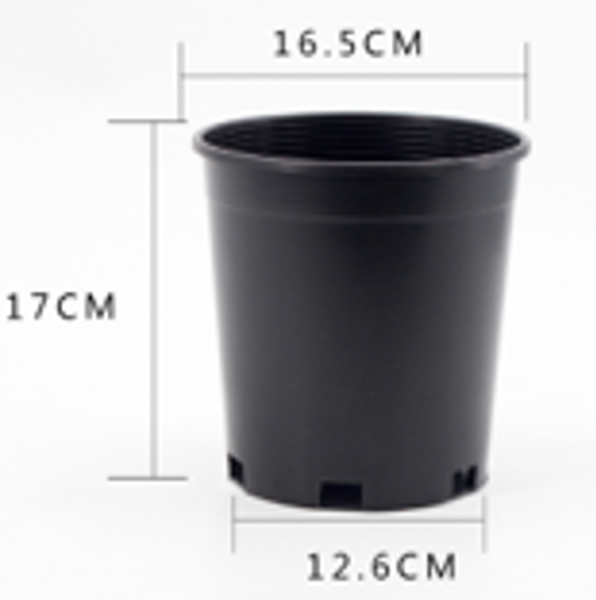 KING TREASURE DISTRIBUTION HG-001 Black Plastic Pot 1 Gal Capacity Black