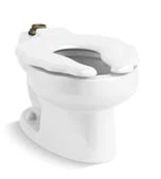 Kohler 96064-SS-0 Elongated Floor-Mount Toilet Stainless Steel