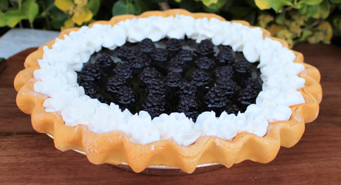 JUST DOUGH IT JDI W0110 Blackberry Pie Fake Food Black