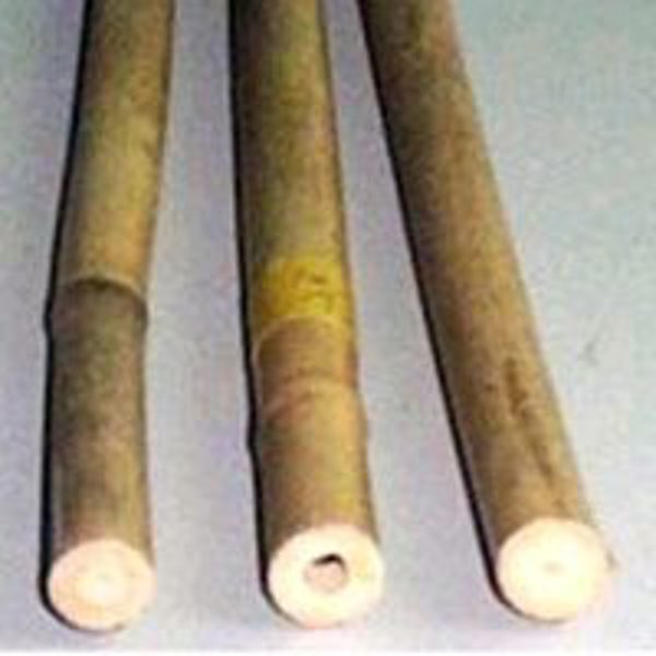 Outdoor Seasons Inc BB5 Bamboo Plant Stake 5 Ft Natural 6 Pack