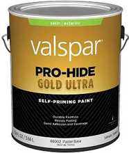 028.0066002007 1 Gal Exterior Satin Sheen Paint