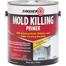 276049 Mold Killing Primer Gallon White